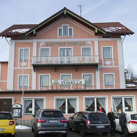 Gasthof Forelle Casa de hóspedes 2*
