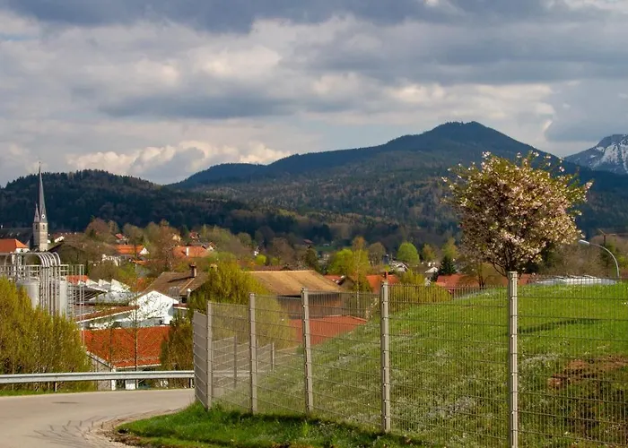 Gasthof Gasthof Forelle
