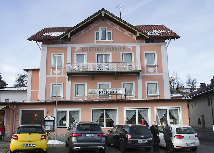Gasthof Forelle بيت ضيافة 2*